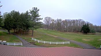 Weather camera view of White Plains Regional Park.