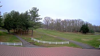 Weather camera view of White Plains Regional Park.
