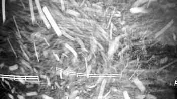 Weather camera view of White Plains Regional Park.