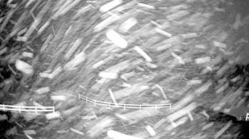 Weather camera view of White Plains Regional Park.