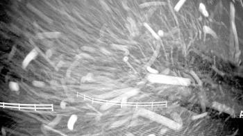 Weather camera view of White Plains Regional Park.