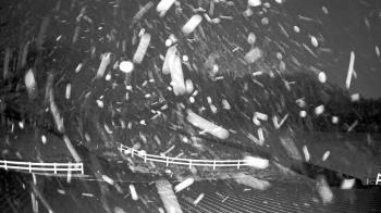 Weather camera view of White Plains Regional Park.