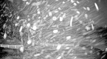 Weather camera view of White Plains Regional Park.