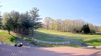 Weather camera view of White Plains Regional Park.