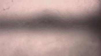 Weather camera view of P.V. Moore HS.