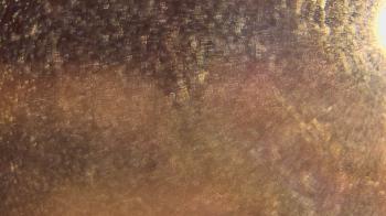 Weather camera view of P.V. Moore HS.