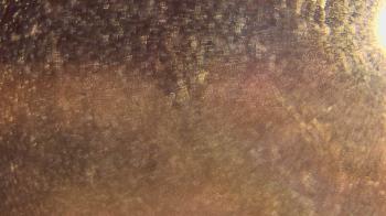 Weather camera view of P.V. Moore HS.