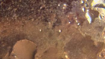 Weather camera view of P.V. Moore HS.