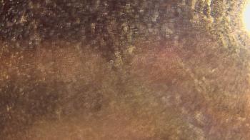 Weather camera view of P.V. Moore HS.