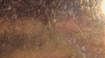 Weather camera view of P.V. Moore HS.