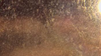 Weather camera view of P.V. Moore HS.