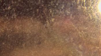 Weather camera view of P.V. Moore HS.