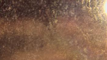 Weather camera view of P.V. Moore HS.