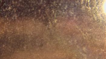 Weather camera view of P.V. Moore HS.