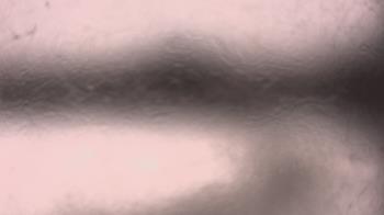 Weather camera view of P.V. Moore HS.