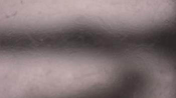 Weather camera view of P.V. Moore HS.