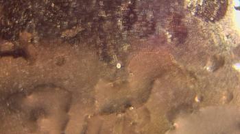 Weather camera view of P.V. Moore HS.