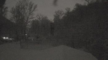 Weather camera view of Camp Guyasuta.