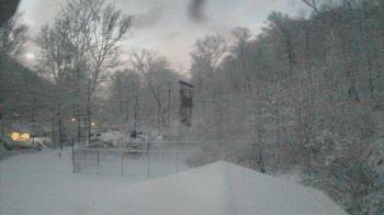 Weather camera view of Camp Guyasuta.