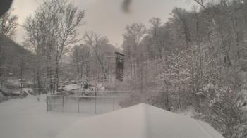 Weather camera view of Camp Guyasuta.