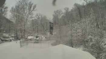 Weather camera view of Camp Guyasuta.