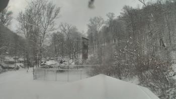 Weather camera view of Camp Guyasuta.