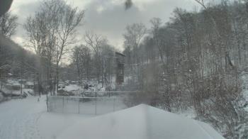 Weather camera view of Camp Guyasuta.