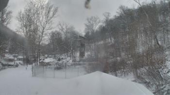 Weather camera view of Camp Guyasuta.