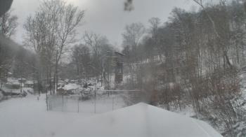 Weather camera view of Camp Guyasuta.