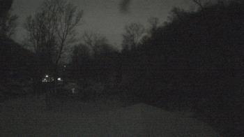Weather camera view of Camp Guyasuta.