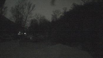 Weather camera view of Camp Guyasuta.