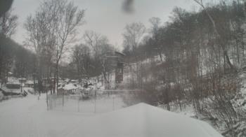 Weather camera view of Camp Guyasuta.