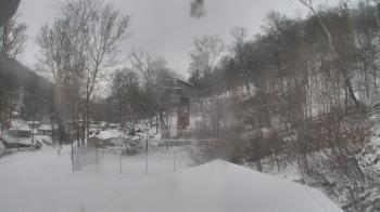 Weather camera view of Camp Guyasuta.