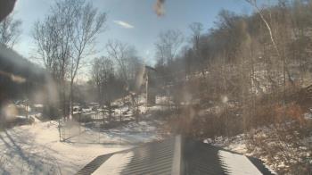 Weather camera view of Camp Guyasuta.