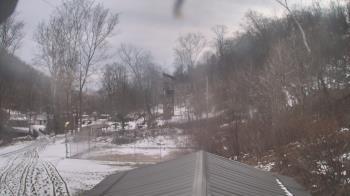 Weather camera view of Camp Guyasuta.