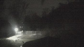 Weather camera view of Camp Guyasuta.