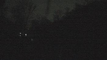 Weather camera view of Camp Guyasuta.