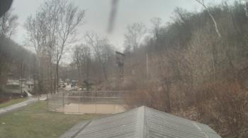 Weather camera view of Camp Guyasuta.