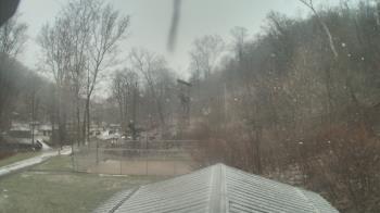 Weather camera view of Camp Guyasuta.