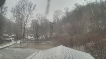 Weather camera view of Camp Guyasuta.