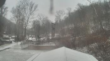 Weather camera view of Camp Guyasuta.