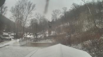 Weather camera view of Camp Guyasuta.