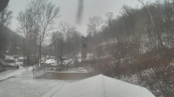 Weather camera view of Camp Guyasuta.