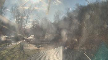 Weather camera view of Camp Guyasuta.