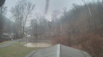 Weather camera view of Camp Guyasuta.