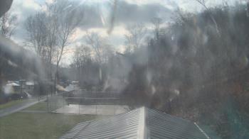 Weather camera view of Camp Guyasuta.