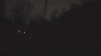 Weather camera view of Camp Guyasuta.