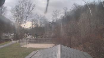 Weather camera view of Camp Guyasuta.