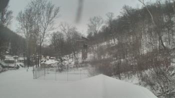 Weather camera view of Camp Guyasuta.