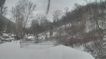 Weather camera view of Camp Guyasuta.